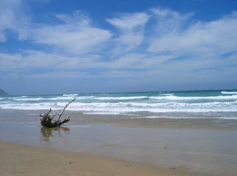 einfach schön cimg3909.jpg