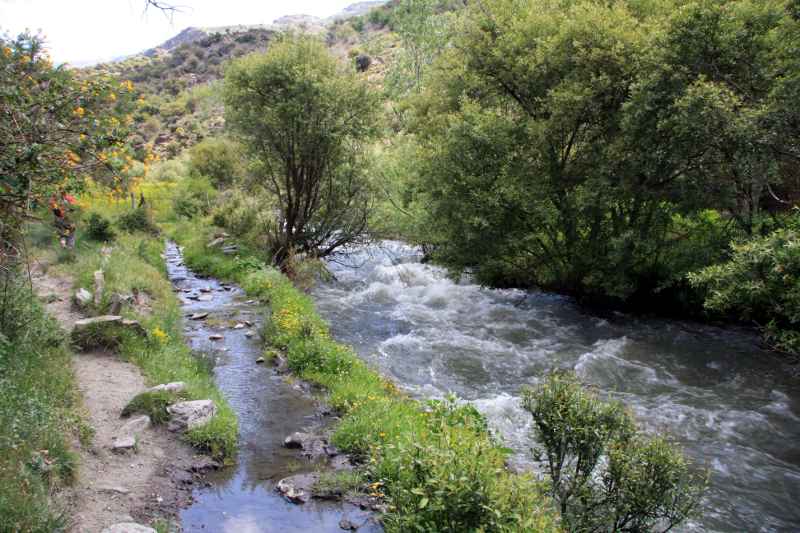 Wässrige Wege... img_2221.jpg