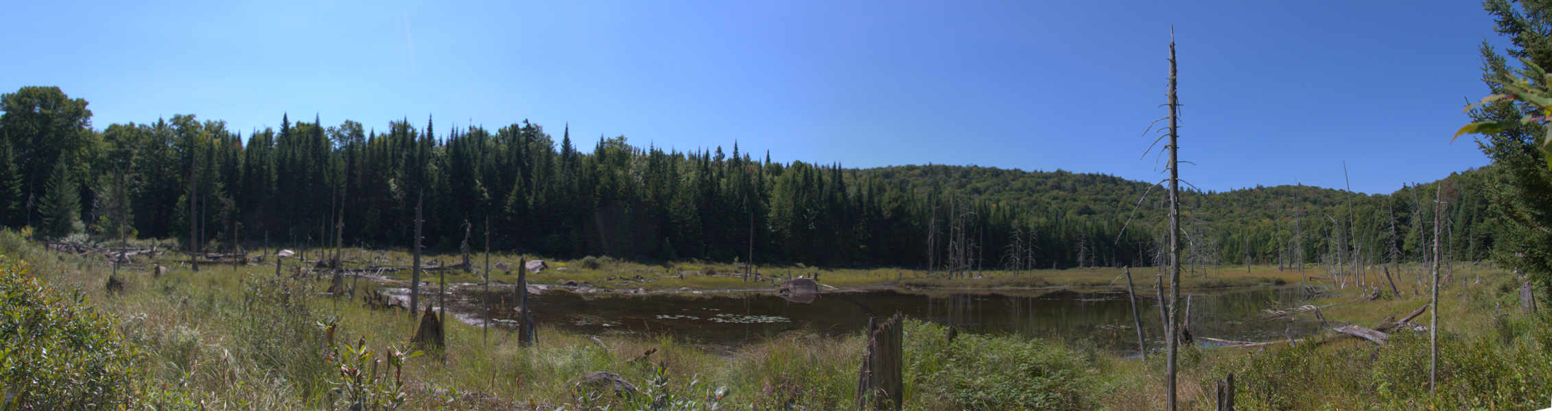 Lac Blanc img_9297p.jpg