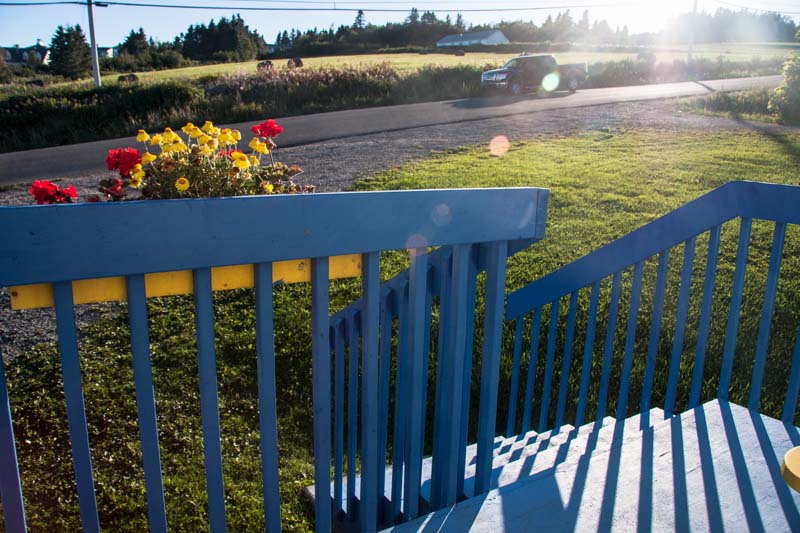 Blick zur Sonne img_9914.jpg