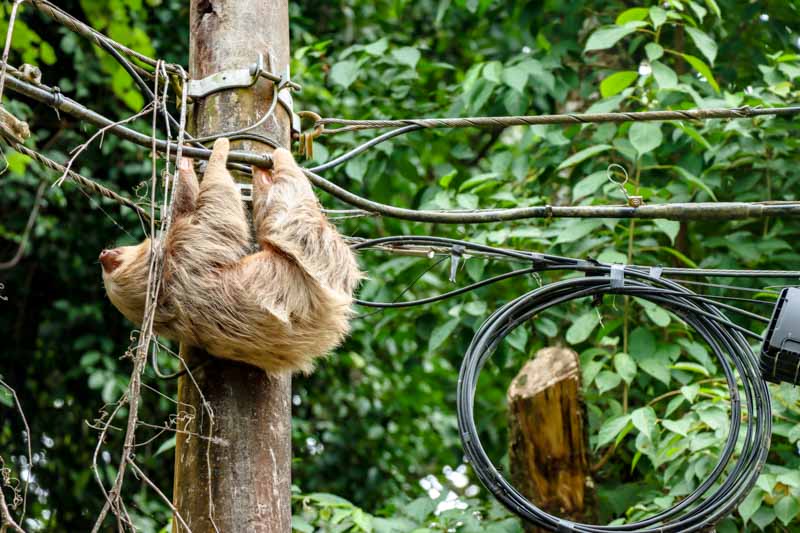 Das Lough Barra img_1160