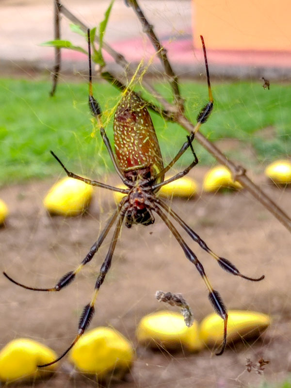 Sie ruht sich aus img_20240322_112540