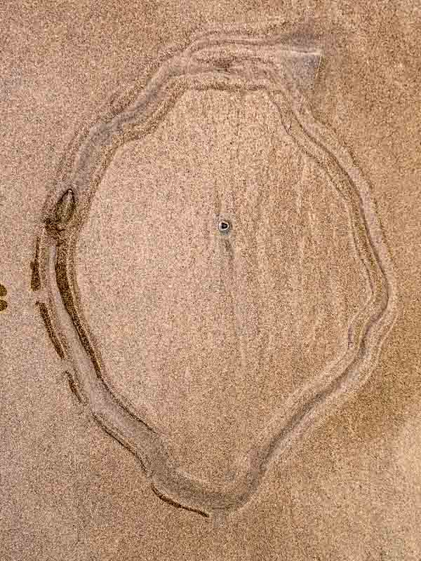 Es bewegt sich img_20240327_085601