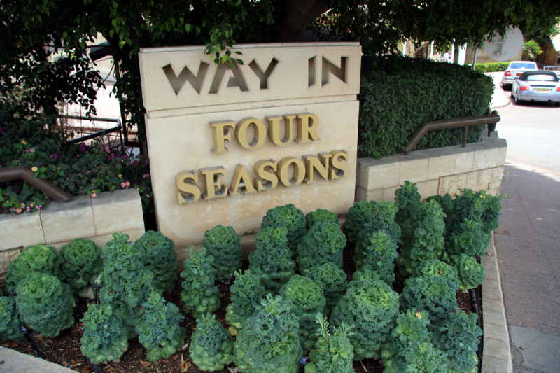 Zierkohl img_3347.jpg