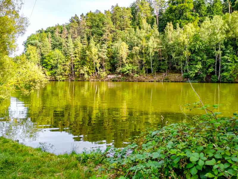 Blick auf den See 20210815_172324