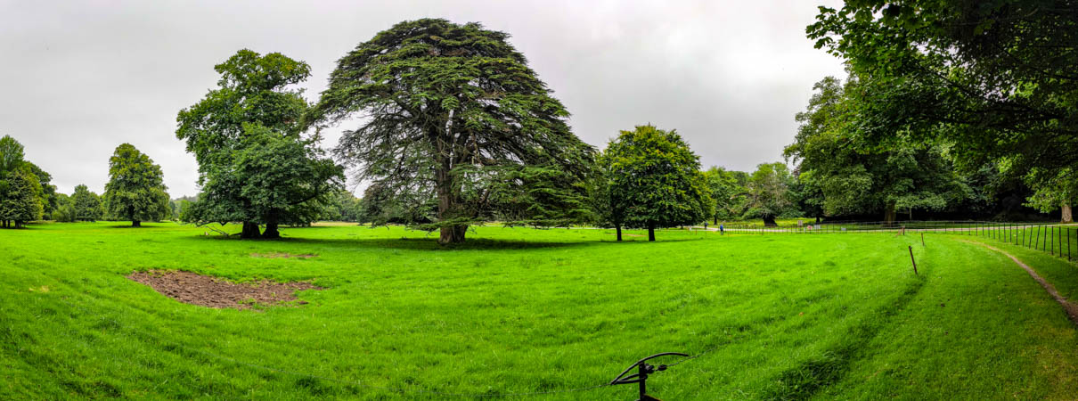 Wunderbarer Garten pano_20230823_105814