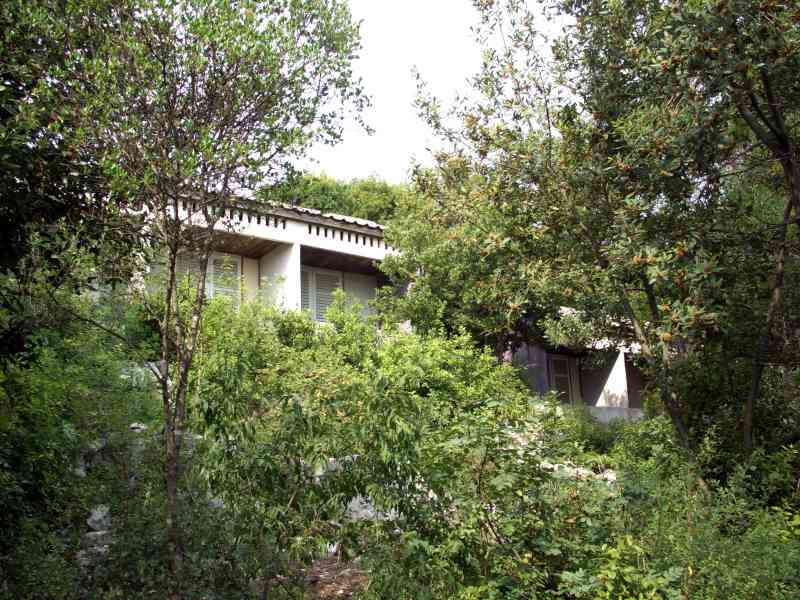 Überwuchertes Bettenhaus cimg0268.jpg