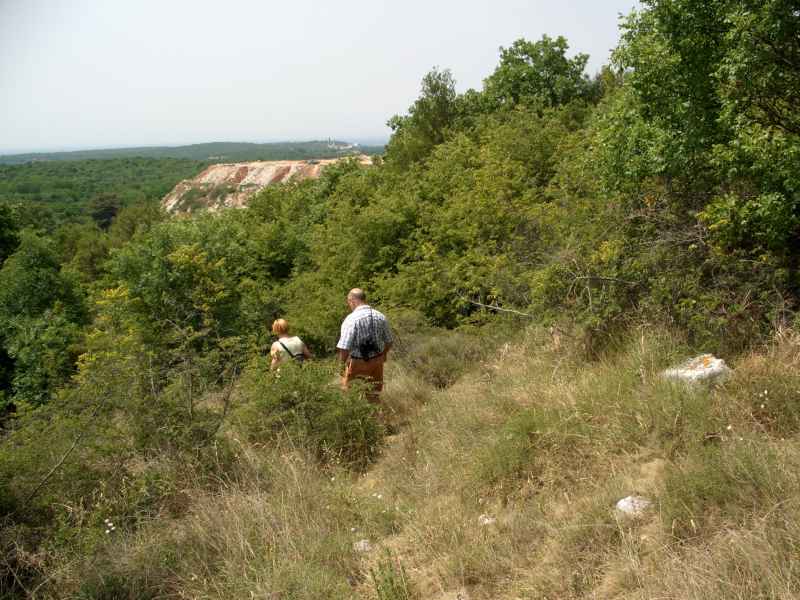 Und wieder hinab cimg0322.jpg