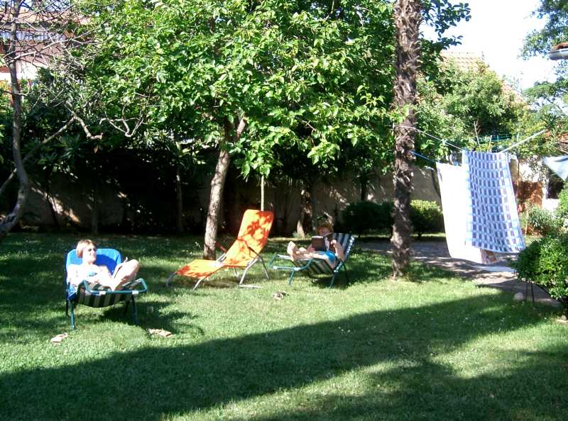 Die Lesewiese cimg6832.jpg