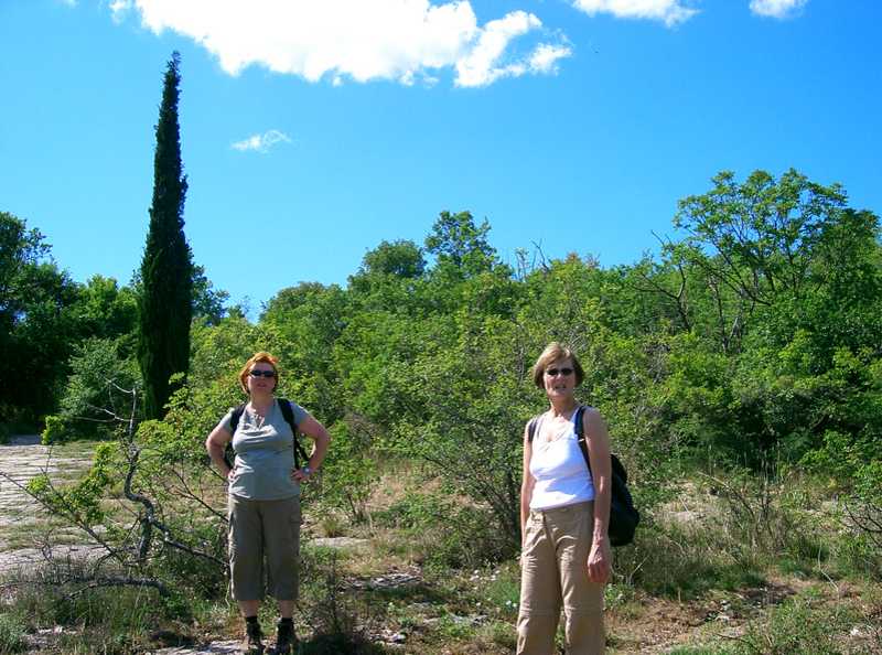 Die drei Zypressen cimg6939.jpg