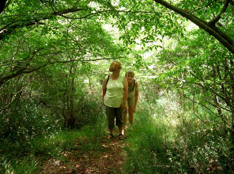 Auf zum Gipfel cimg7575.jpg