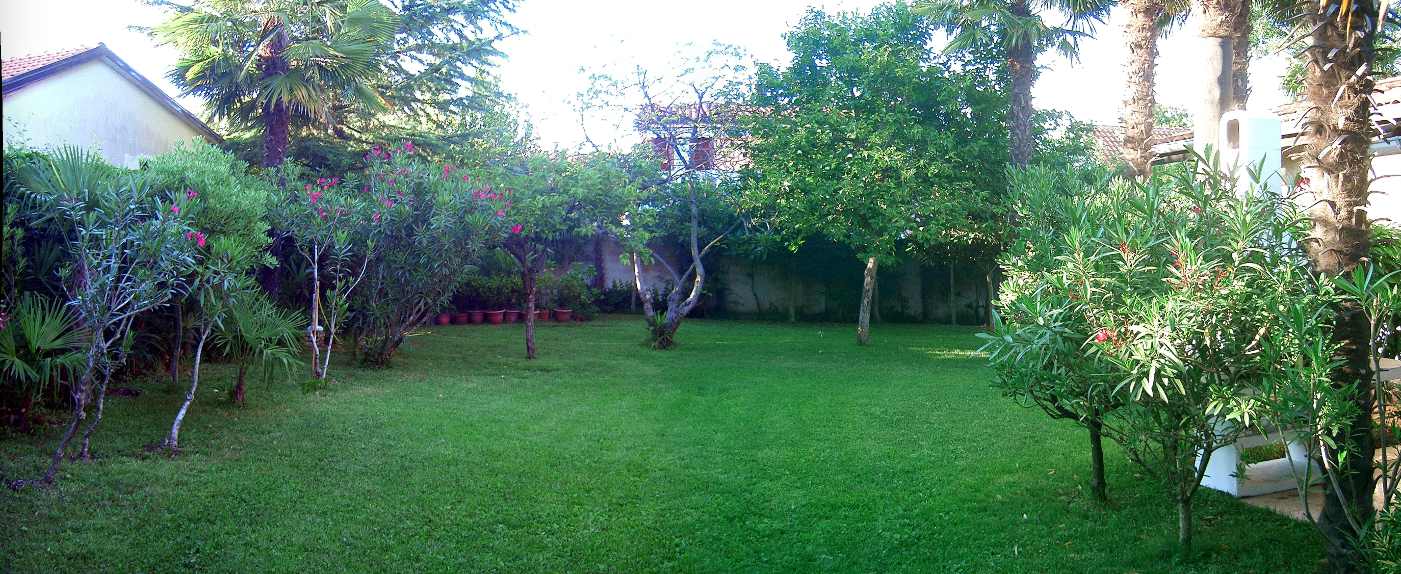 Der verlassene Garten cimg7674.jpg