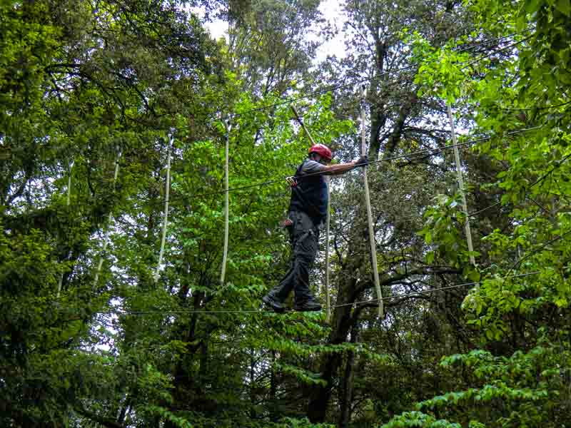 Schön langsam cimg1763.jpg