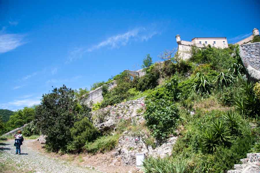 Die Burg img_7605.jpg