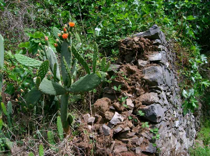 Nach genossenem Mahl... cimg9044.jpg