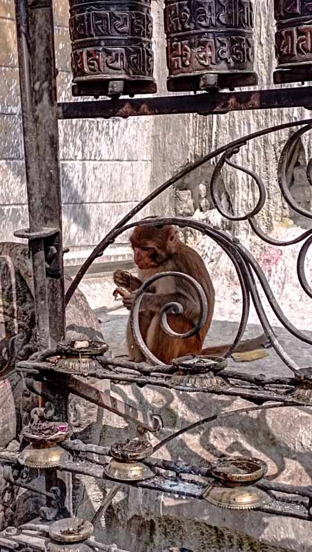 Hier gibt's was img_20241018_133124