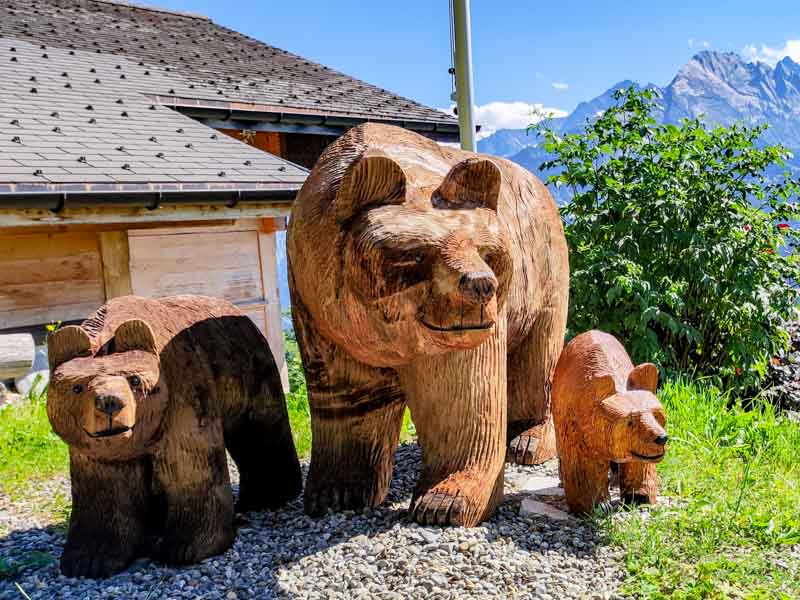 Eine Bärenfamilie img_20220711_162309
